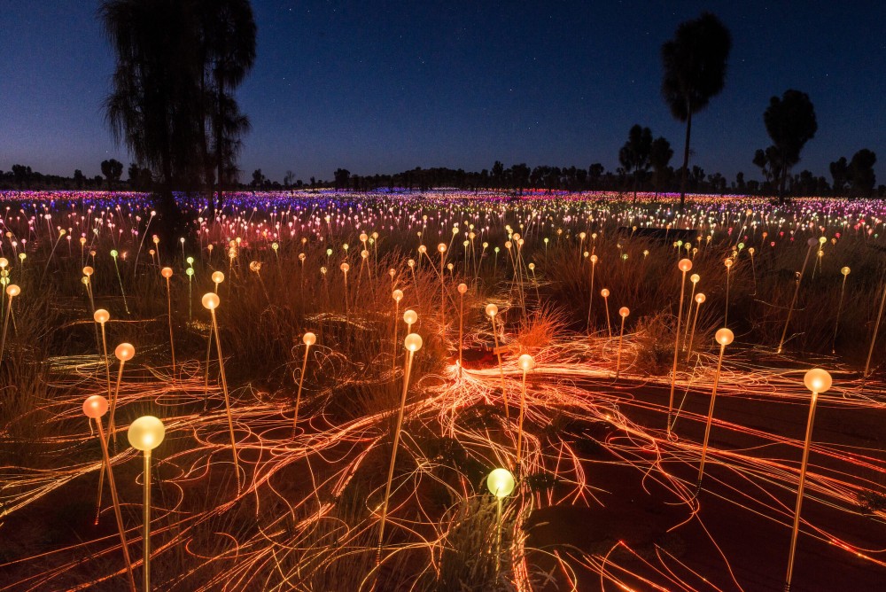 Field of Light glowing in the desert