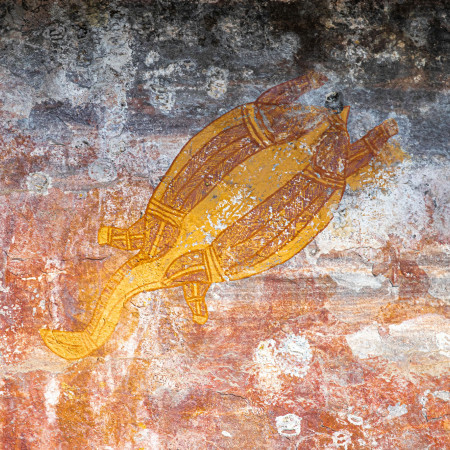 Aboriginal rock art