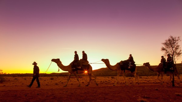 Alice Springs camel riding