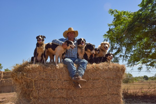 Katherine farmer with dogs