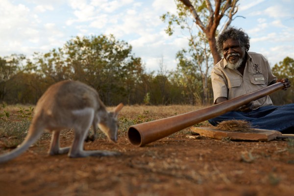 Katherine aboriginal man with a kangeroo
