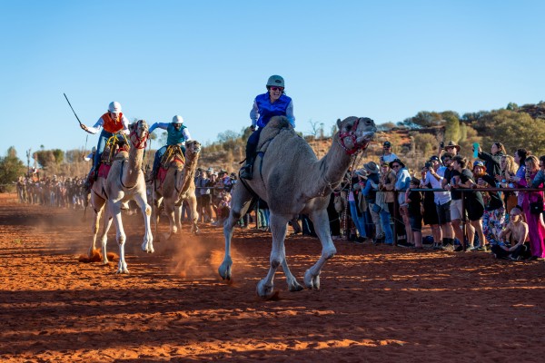 Uluru camel racing