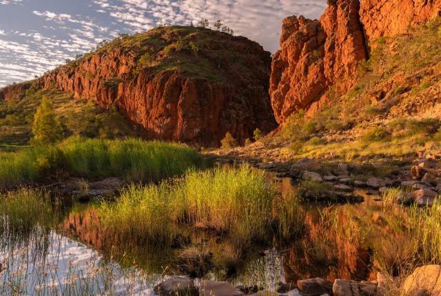 Alice Springs