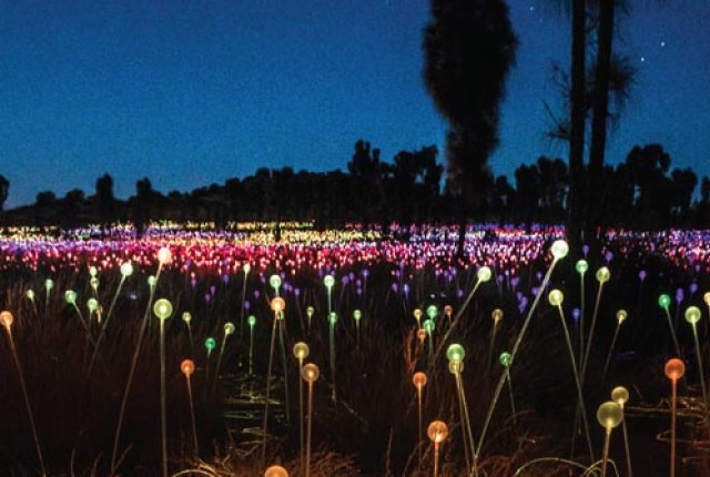 Field of light banner