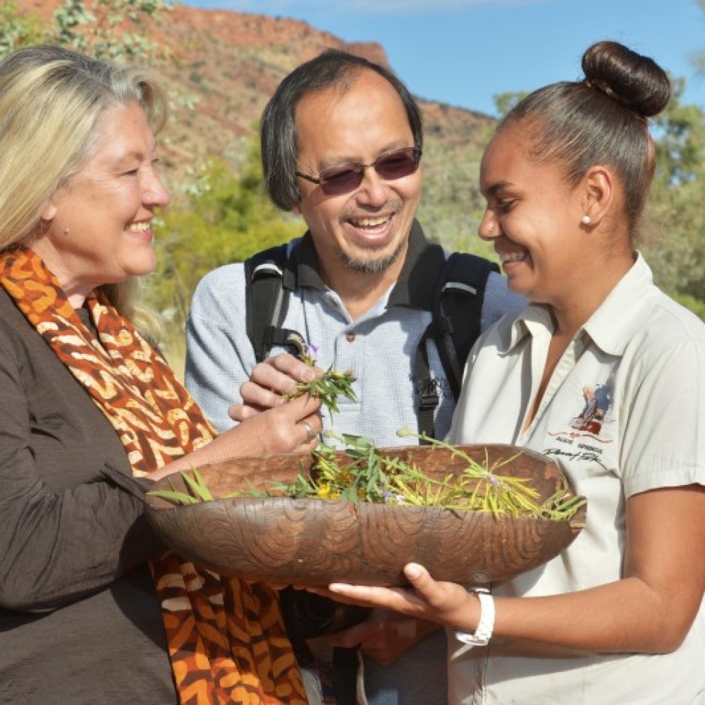 Three people looking at a plant at Alice Springs Desert Park