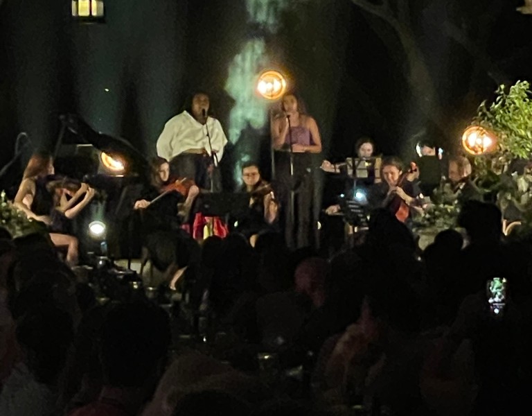 Mustang Productions Enchanted Dinner Performance 