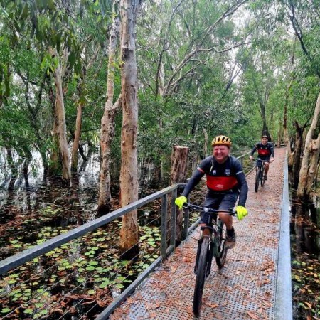 Person riding bike on mangrove boardwalk 