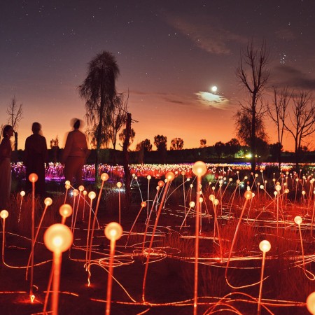 Field of Light exhibition at Uluru 