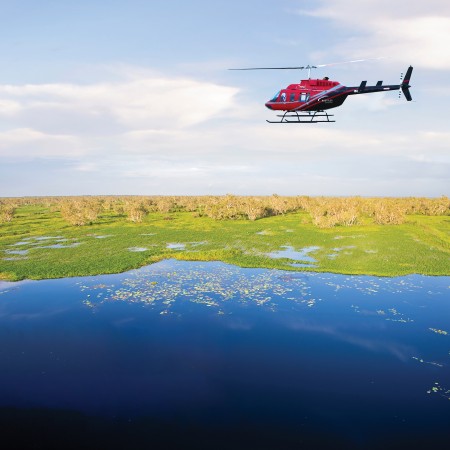 Heli-foraging experience